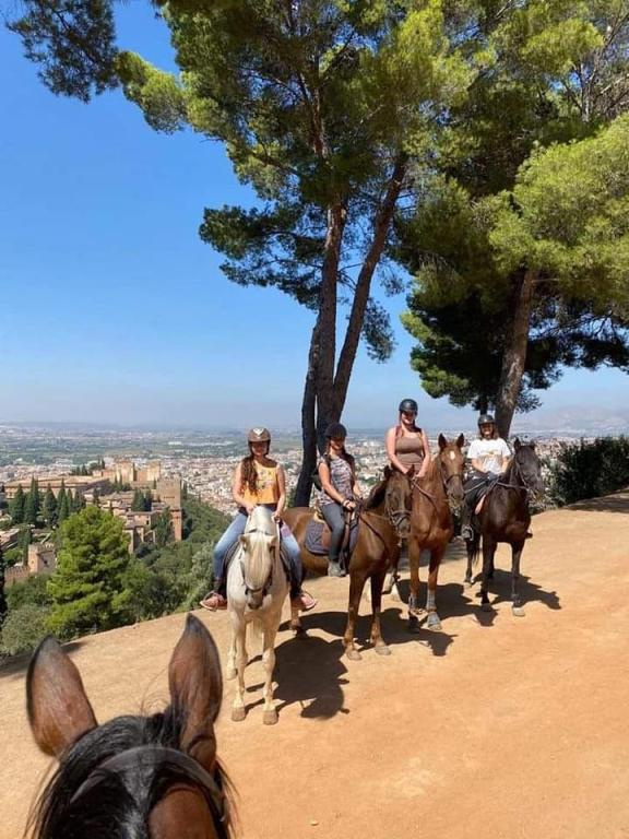 okno uzav�ete kliknut�m !